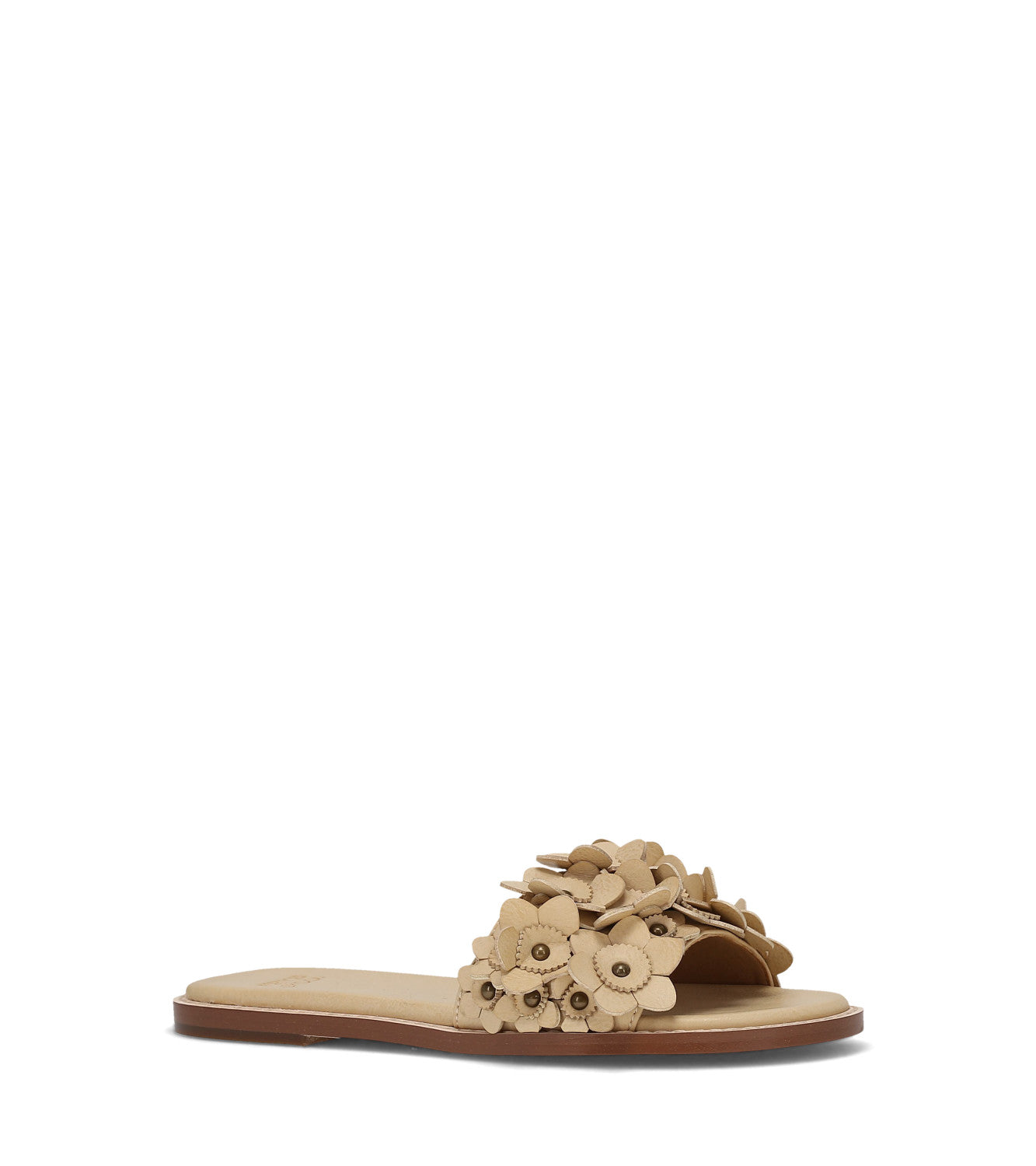 Bucky Flower Slide - Butter (FO10456)
